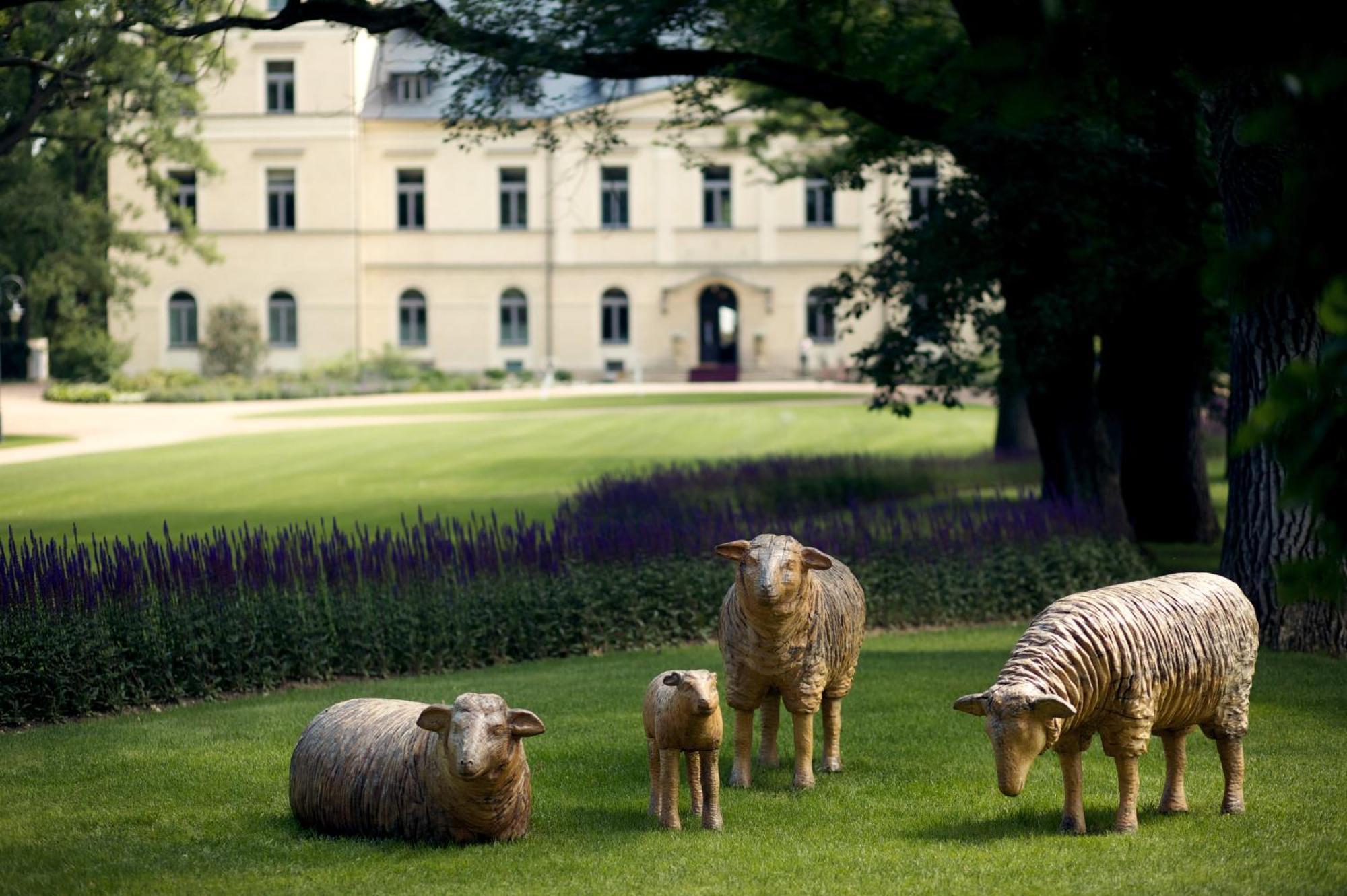 Chateau Mcely Hotel Exterior foto